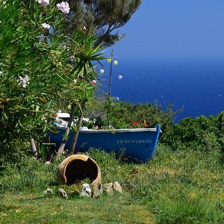 Panoramma Hause, Kampos Evdilou,Ikaria Apartment Evdilos  Luaran gambar